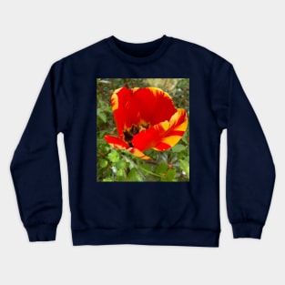 Beautiful Red and Yellow Tulip Crewneck Sweatshirt